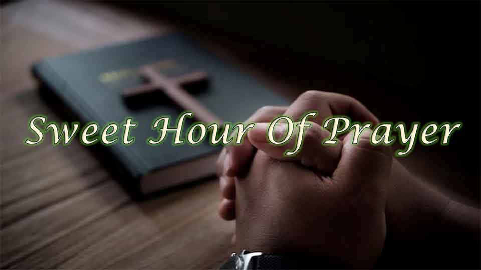 Sweet Hour image title WEBSLIDER.jpg